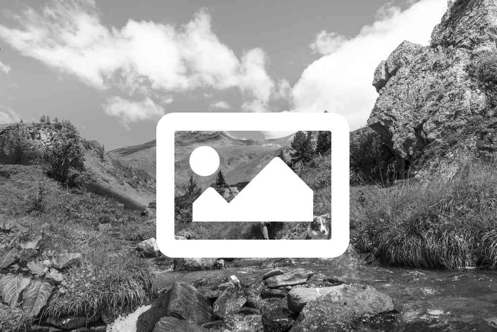 Algemene foto over B&B De Norger Drift 1